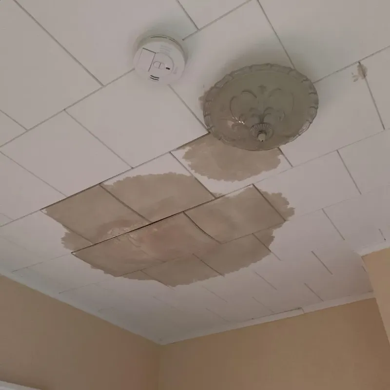 Ceiling Water Damage Repair in Carriage Club, CO
