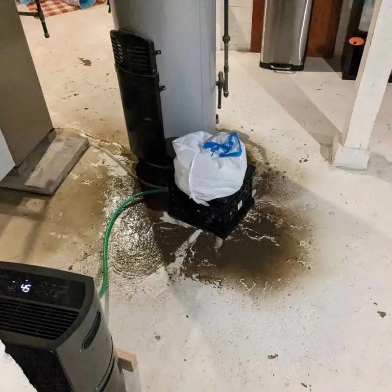 Sewage Backup Cleanup Service in Carriage Club, CO